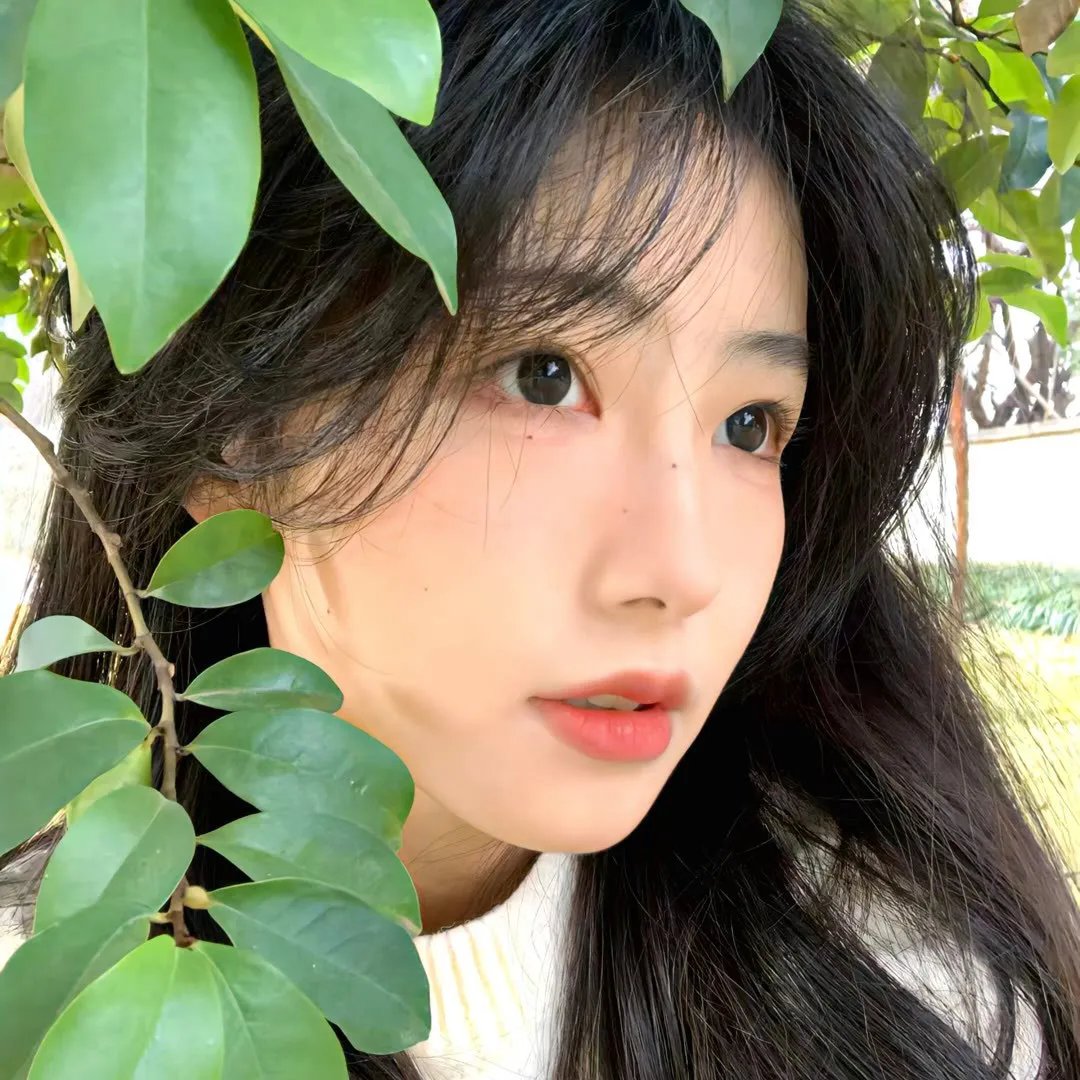 犯罪迷局
